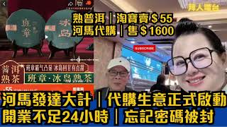 河馬發達大計｜代購生意正式啟動｜開業不足24小時｜忘記密碼被封｜熟普洱淘寶賣＄55｜河馬代購售＄1600 #東張西望 #tvb