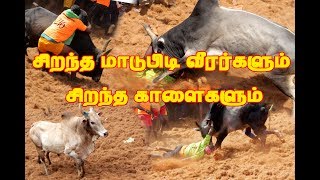 சிறந்த மாடுபிடி வீரன் சிறந்த மாடு ... செம்மை ஆட்டம்