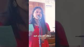 Dew Duwaka se Rusiru | දෙව් දුවක සෙ රුසිරු මනමාලියේ  #vivaceweddings #weddinghymn #Entrancehymn