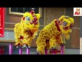 pesta tarian naga unicorn dan singa 2022 sabah lee kiong lion dance 2022壬寅年新春龍麒獅大團拜 李强龍獅團