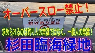 釣り動画ロマンを求めて 331釣目（杉田臨海緑地）