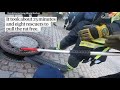 fat rat stuck in manhole cover rescued by german firefighters