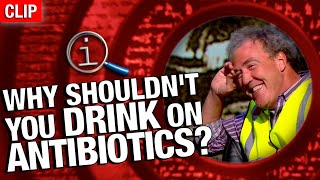 QI | Why Shouldn't You Drink On Antibiotics?