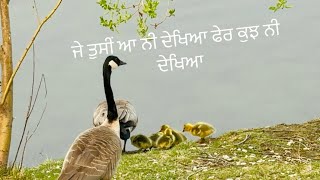 ਜੇ ਤੁਸੀਂ ਆ ਨੀ ਦੇਖਿਆ ਫੇਰ ਕੁਝ ਨੀ ਦੇਖਿਆ