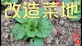 【山鍋兄弟】1亩田改造成菜地，山锅兄弟一家大小挖土种菜，一整年不用买菜了