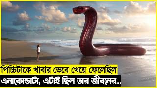 পিচ্চিটাকে খাওয়ার মাশুল যে সাপটাকে এভাবে দিতে হবে সে কল্পনাও করতে পারেনি !