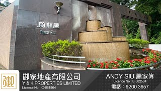 九肚山蔚林居 934呎+831呎天台 三房一套 Andy 92003657