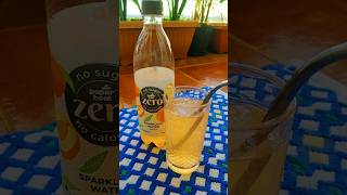 @PaperBoatDrinks Peach flavoured sparkling water is refreshing #shorts #youtubeshorts #trending #yt