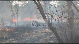 Arvalli : Forest fire in Chand Tekri area, Modaaa