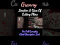 Granny Version 1.8 || Location & Uses Of Cutting Pliers For Door || #shorts #granny #youtubeshorts