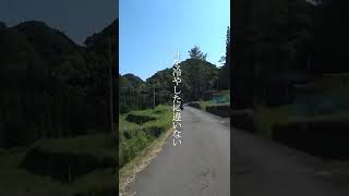 今からの季節　バイクで遭遇すると嫌ですね（汗）　 #Shorts