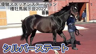 シルバーステート 優駿スタリオンステーション種牡馬展示会2022