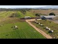 Propriedade leiteira modelo tem à frente jovem rural