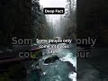 Some People Only Come.. | Deep Fact | Fact #shorts #ytshorts