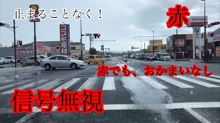 [信号無視]やめた方がいい！ドライブレコーダーに撮られるから！