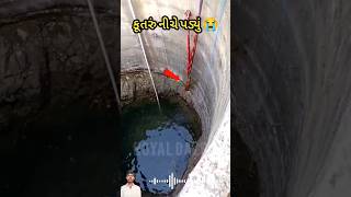 કૂતરું કુવામા પડ્યું 😭 જૂઓ પછી શું થયુ 😱#dog #doglover #gujarati #viral #shorts