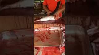 4kg bluefin Tuna found local market cutting skill #shorts