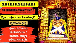 SRIMUSHNAM SRI BHUVARAHA SWAMY TEMPLE |  Swayambu Kshetram