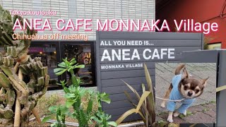 TOKYO🐶🐩🐕️😋☕🍰🍕【DOG-CAFE 】【ANEA CAFE MONNAKA Village】