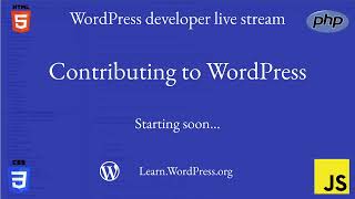 Testing WordPress 6.5
