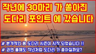 작년에 도다리 30마리 가 쏟아졌던 도다리 원투 낚시 포인트 를 가봤는데... - 서해 대천 해수욕장 도다리 원투낚시 ( 레드펄스 에서 GT 30-425 를 협찬 받았습니다 )