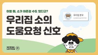 쪼니의 1분한우지식 | 우리집 소의 도움요청 신호