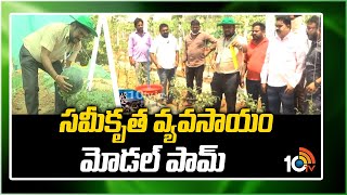 సమీకృత వ్యవసాయం మోడల్ పామ్ | Mancherial Bellampalli Krishi Vigyan Kendra | 1TV