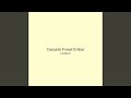 Cascade Forest Ember
