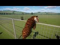 【planet zoo】実況 1 サンドボックスモードで自由に動物園つくる