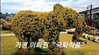 [4k] 가평 이화원 🌻 국화꽃 작품 전시회 랜선투어