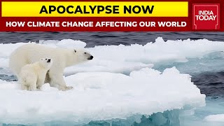 From Rising Temperature To Floods, How Climate Change Is Affecting Our World | Apocalypse Now