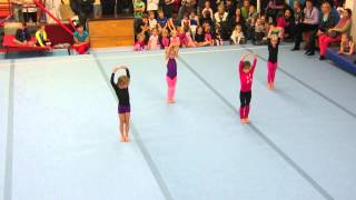 Mikulášská besídka 2014 - vystoupení gymnastek ročník narození 2008