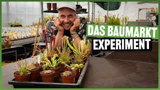 #261 Experiment, wir kaufen Pflanzen im Baumarkt! Analyse, Qualität, Erde, Wachstum und mehr