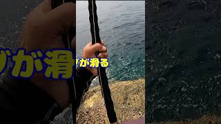 イシダイのアタリは突然に！そして強烈な引き🎣だけど残念なことに😭#shorts