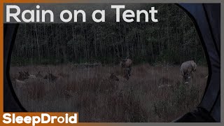 ► Rain on a Tent ~Hard Rain Sounds for Sleeping by some Elk, Rain Sounds for Insomnia (lluvia)