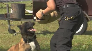 Panama City Police Department needs help to win the Aftermath K9 Grant Program