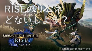 【概要欄必読】モンハンライズRISE　参加型