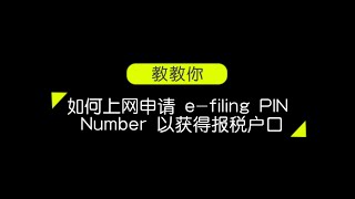 教教你系列 -【教你如何获得Income Tax E-Filling Pin Number】