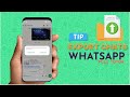 How to export chat history from WhatsApp