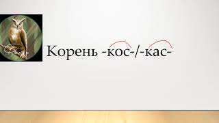 Чередование корней -кос- / -кас-