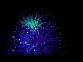 Fluorescence Magic Night Dive Nov2016 HD