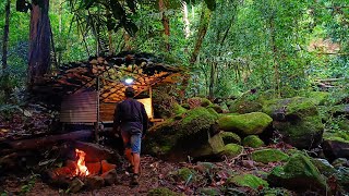 Bushcraft survive in silent forest || camping survival