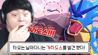 신작에선 갸라도스가 날아다닌다고! [포켓몬 하이라이트]