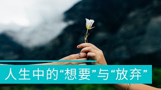 人生中的“想要”与“放弃” - 患得患失，追求，妥协，顺其自然，人生目标，人生追求，获得，失去，目标，梦想