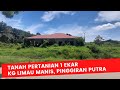 TANAH 1 EKAR UNTUK DIJUAL DI KG LIMAU MANIS, DESA PINGGIRAN PUTRA.