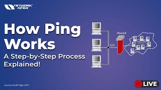 How Ping Works: A Step-by-Step Process Explained!