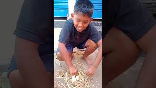 বাটপার Egg-seller got confused 🤔 #funny  #useful #comedy #aiprince #jokelover #streetfood #foodsound