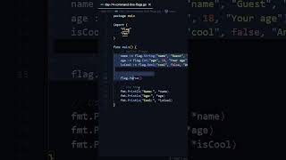 Command-Line Flags in GoLang 😎 | Day 74 of 90 Days Challenge 💻