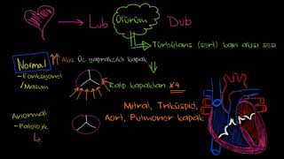 Kalp Kapak Hastalığı Nedir? (Fen Bilimleri) (Sağlık ve Tıp)