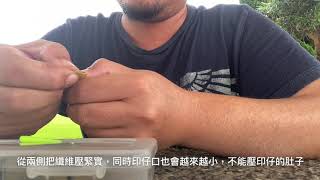 傳統嗩吶 吹印仔整理